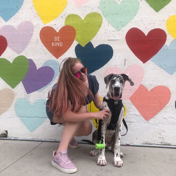 Meet your Posher, Leila - Picture 1 of 1